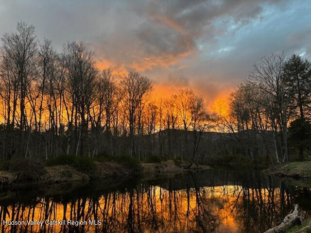 294 Fish Creek Road Saugerties, NY 12477 - Photo 6 of 55 IMG_9811