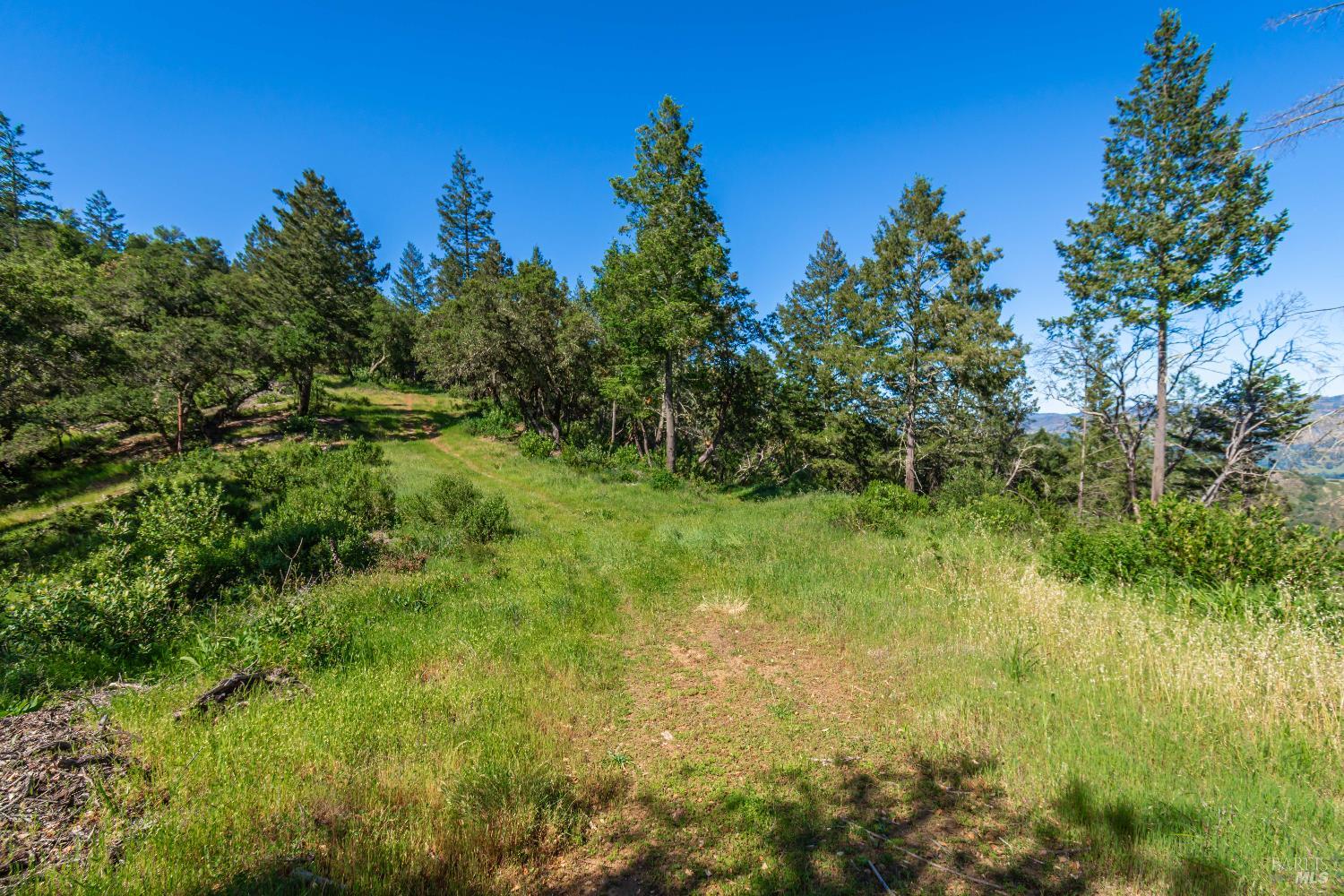 0 Dry Creek Road Napa, CA 94558 - Photo 79 of 98