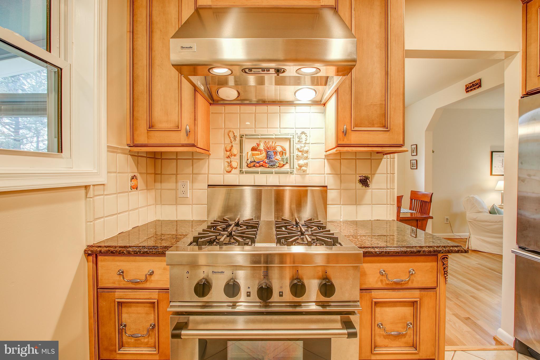 801 Lombardy Court Silver Spring, MD 20901 - Photo 8 of 26 Gas Range