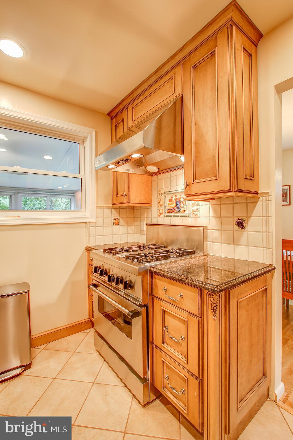 801 Lombardy Court Silver Spring, MD 20901 - Photo 10 of 26 Kitchen