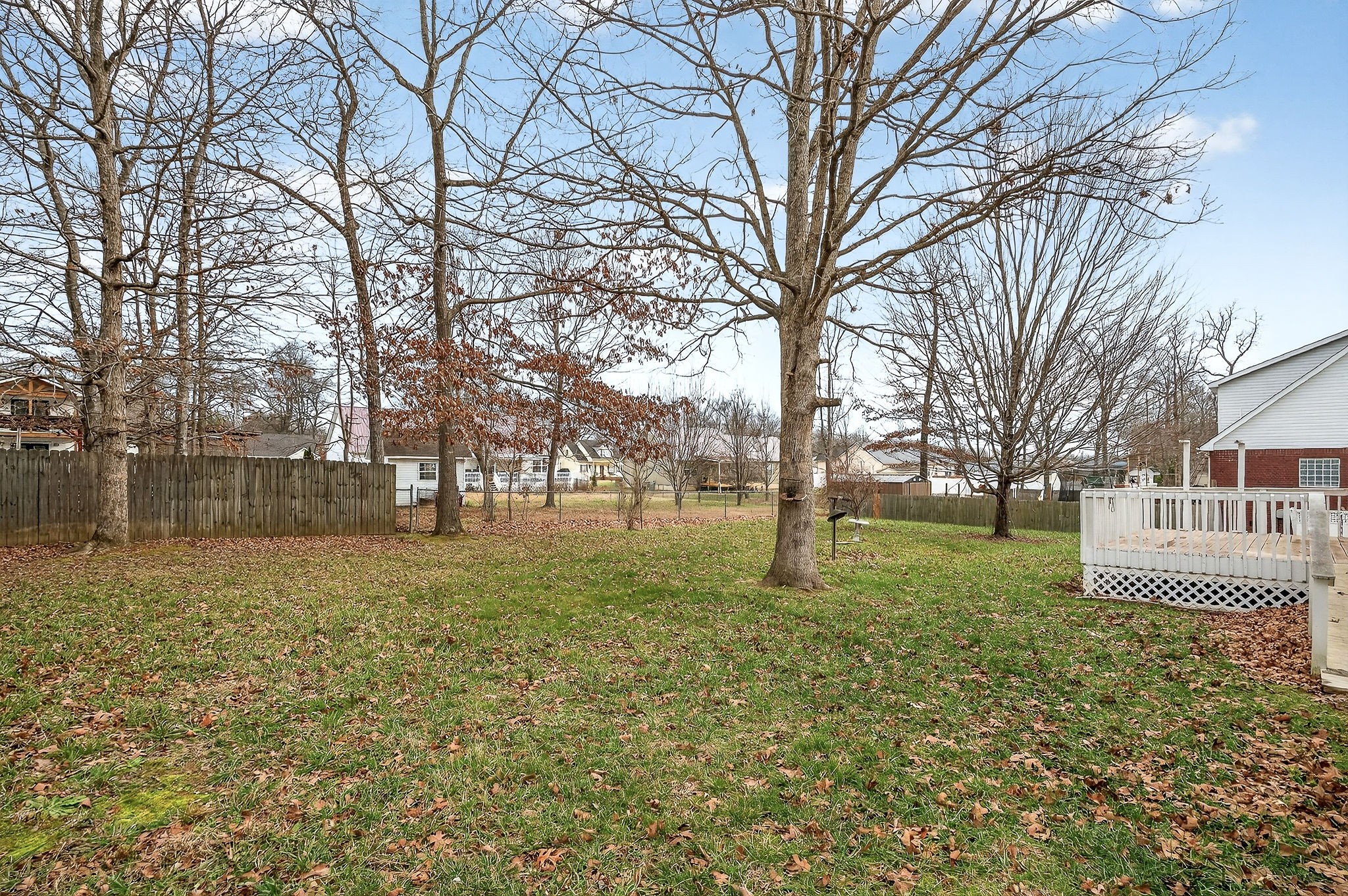 325 Indian Springs Circle Manchester, TN 37355 - Photo 13 of 29 a view of back yard