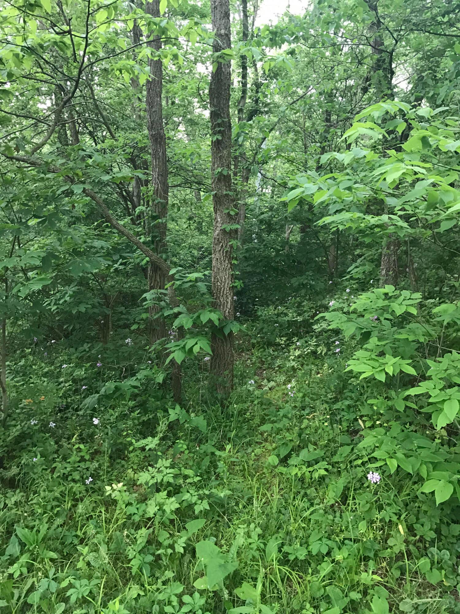 11850 Winter Road Southwest Amanda, OH 43102 - Photo 24 of 31 unnamed (21