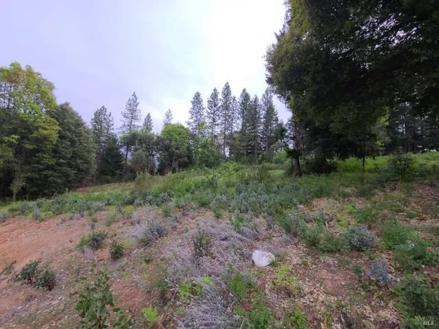 $199,000 | 78621 Mina Road, Covelo, CA 95428