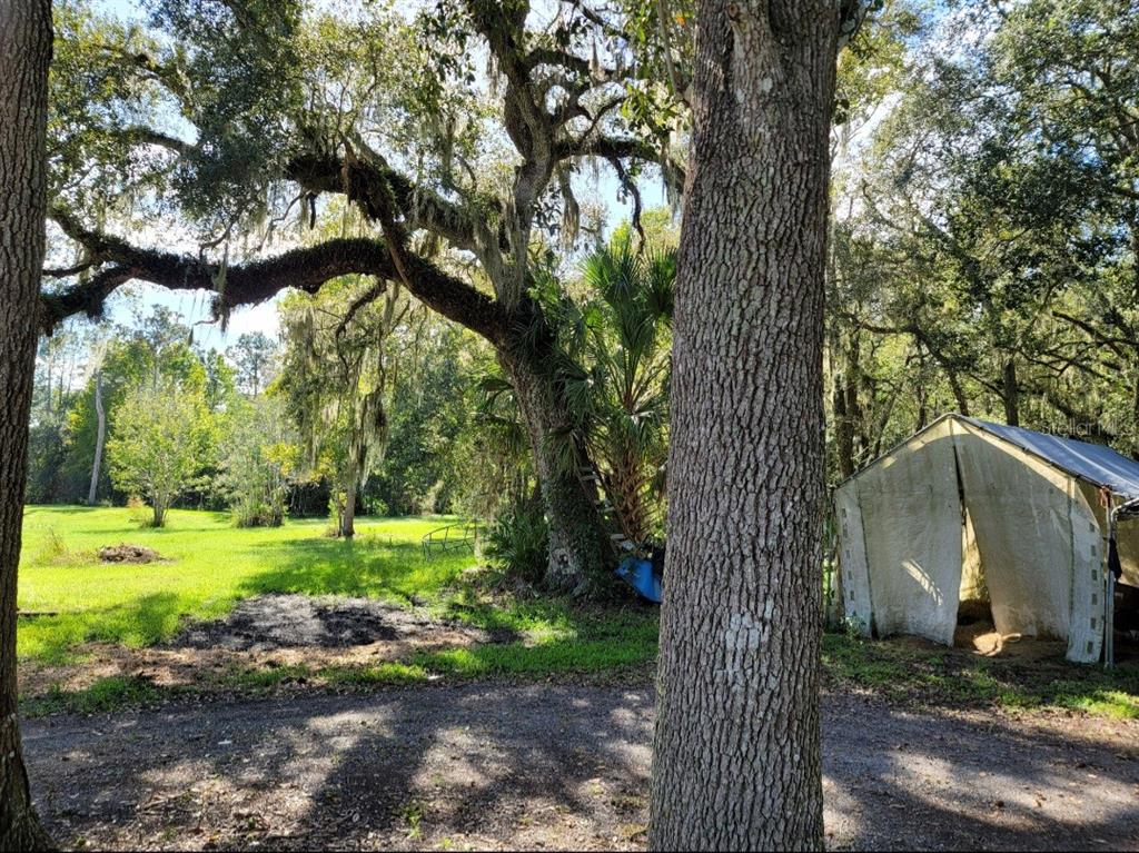 213 Clifton Road Crescent City, FL 32112 - Photo 5 of 55