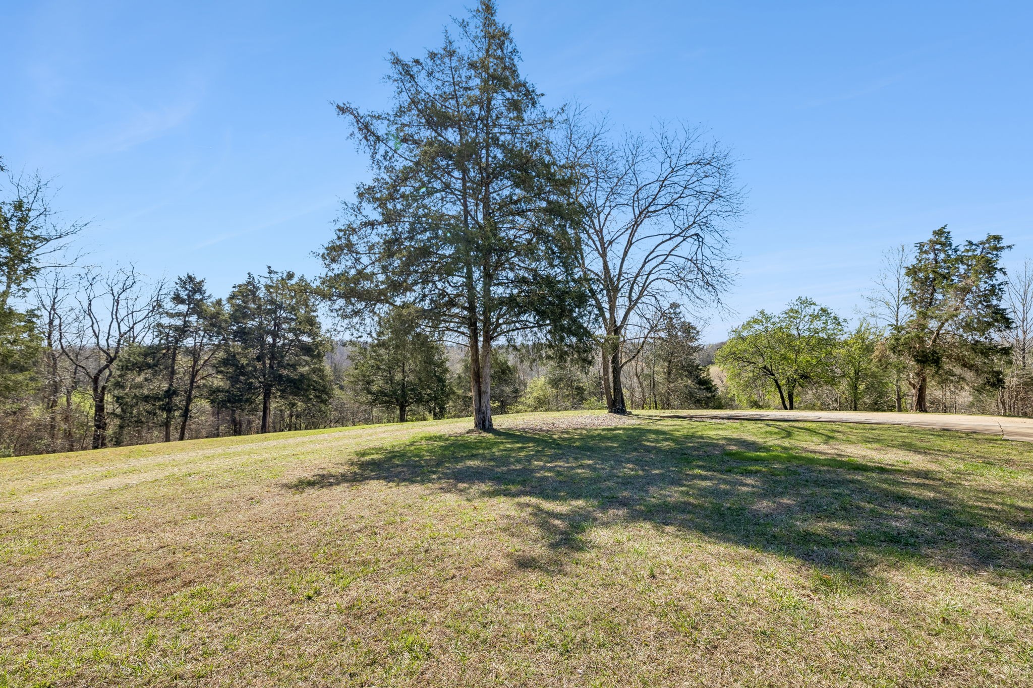 635 Cane Creek Road Hohenwald, TN 38462 - Photo 53 of 99 Gallery Image 53