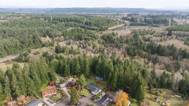 an aerial view of forest