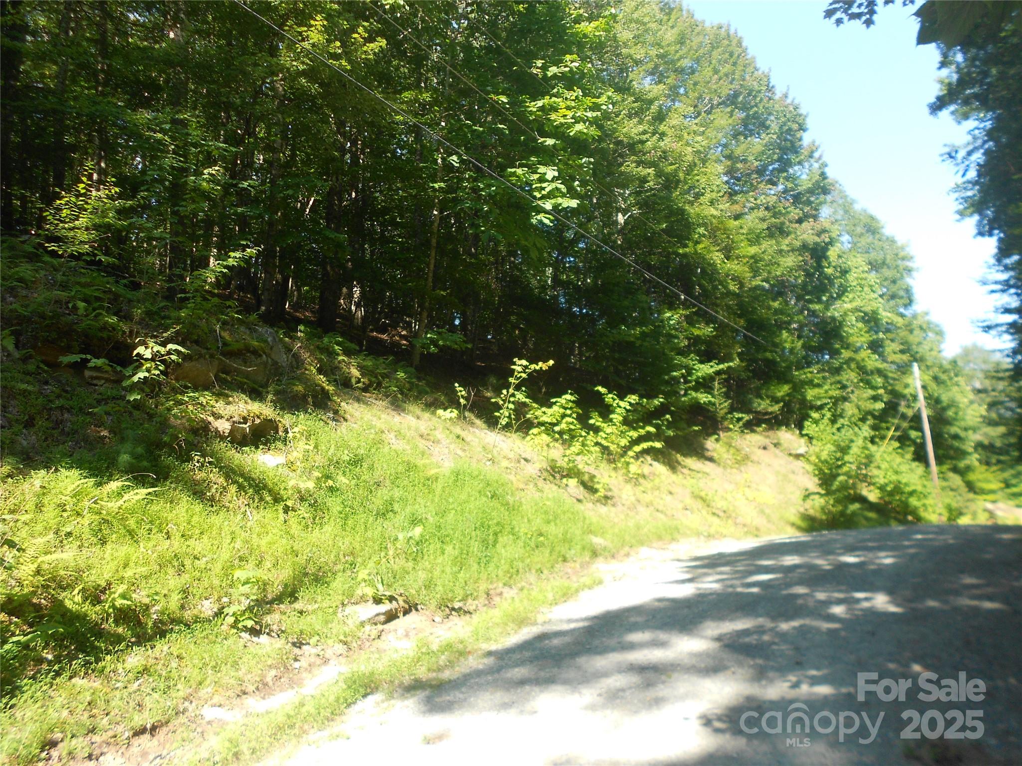 154 Raccoon Road Beech Mountain, NC 28604 - Photo 11 of 11