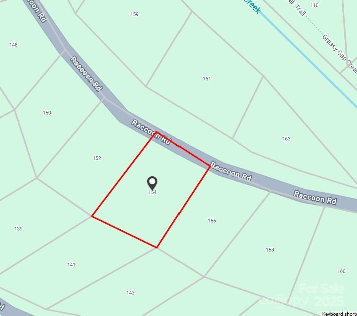 154 Raccoon Road Beech Mountain, NC 28604 - Photo 2 of 11