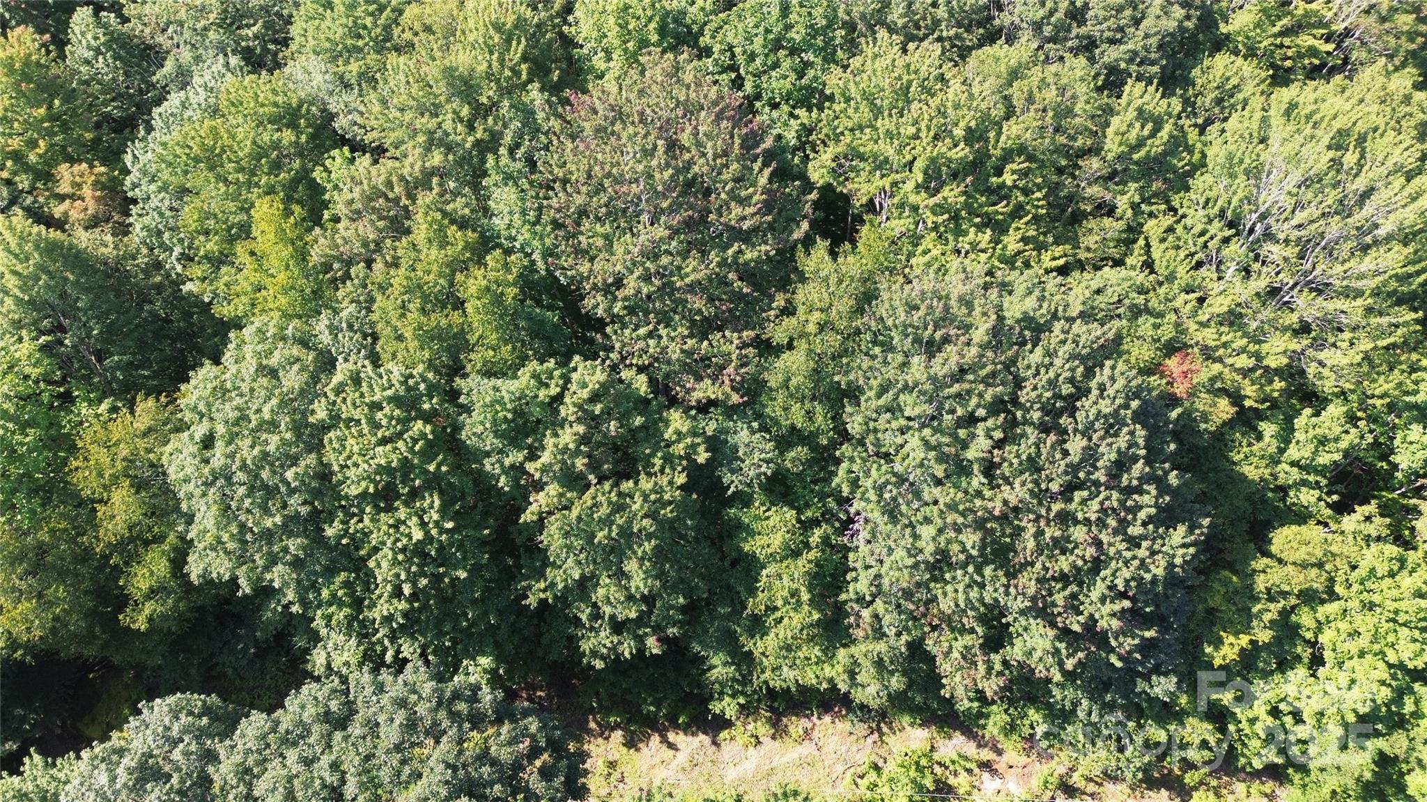 154 Raccoon Road Beech Mountain, NC 28604 - Photo 5 of 11