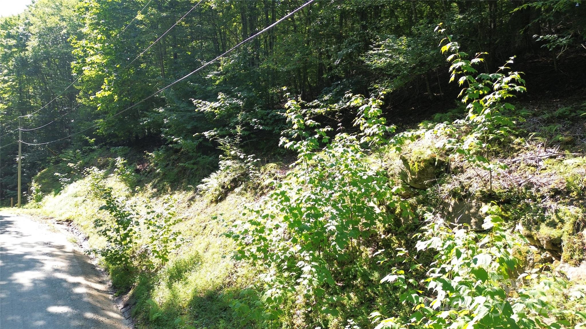 154 Raccoon Road Beech Mountain, NC 28604 - Photo 6 of 11