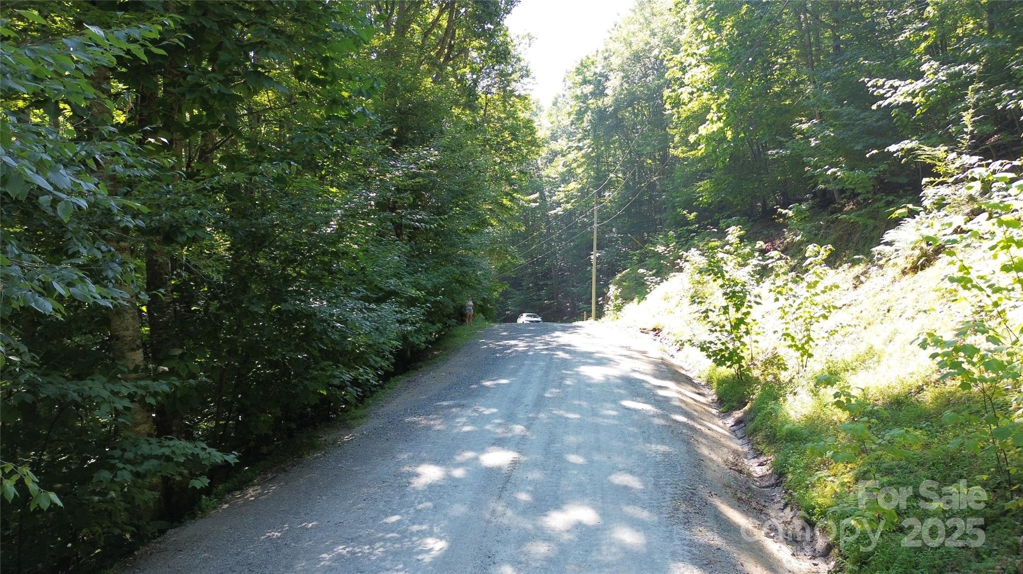 154 Raccoon Road Beech Mountain, NC 28604 - Photo 7 of 11