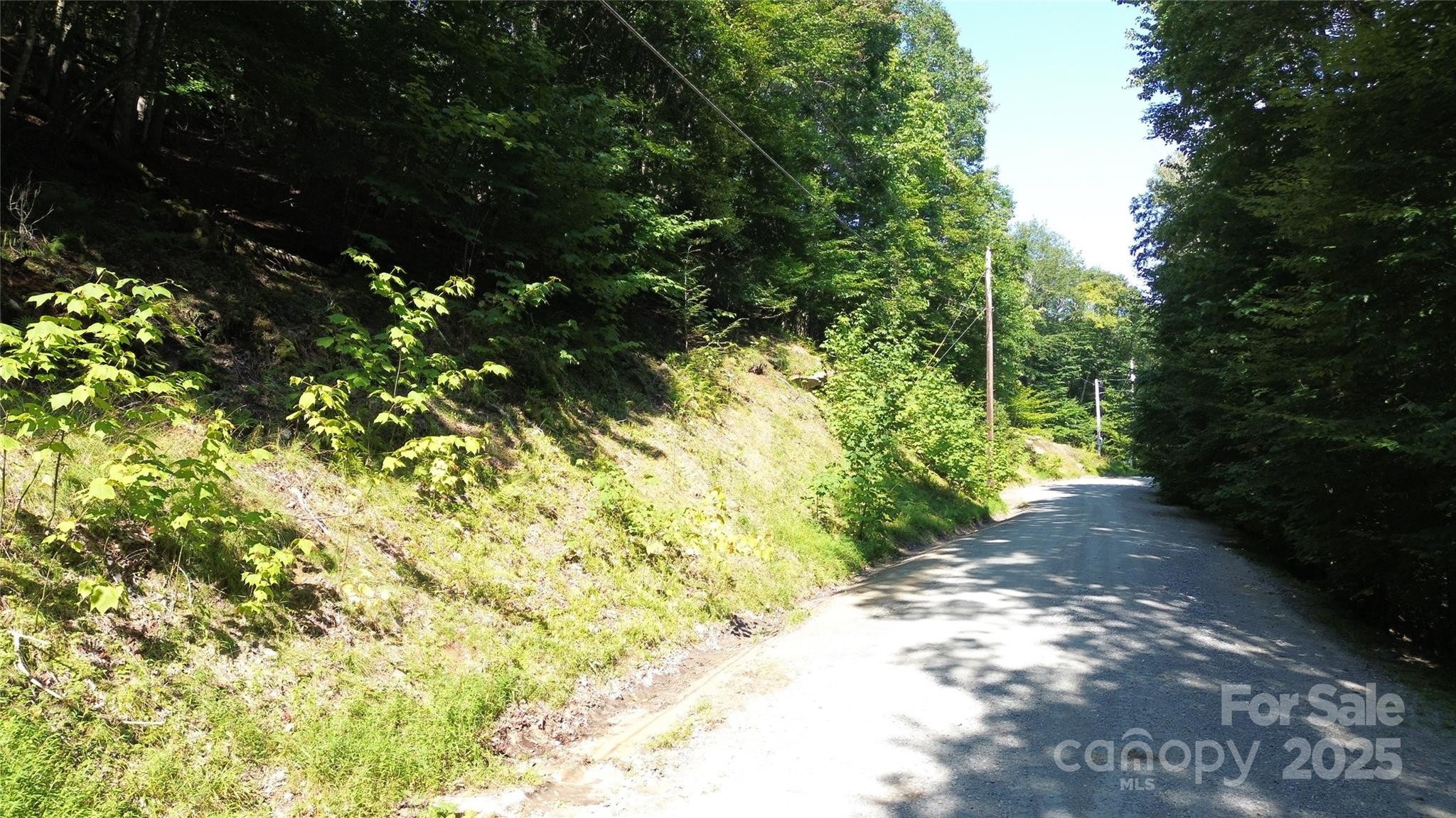 154 Raccoon Road Beech Mountain, NC 28604 - Photo 8 of 11