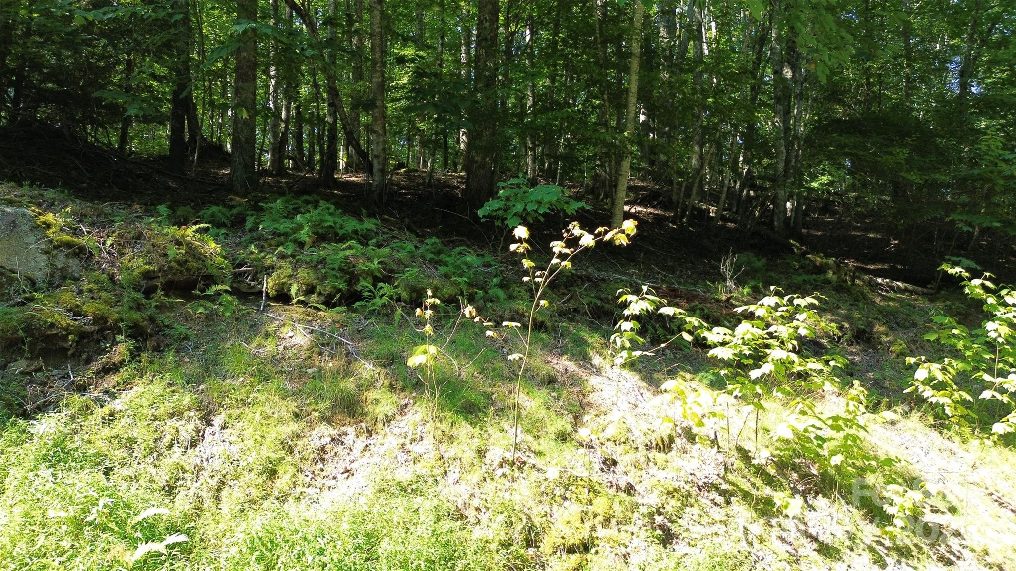 154 Raccoon Road Beech Mountain, NC 28604 - Photo 9 of 11