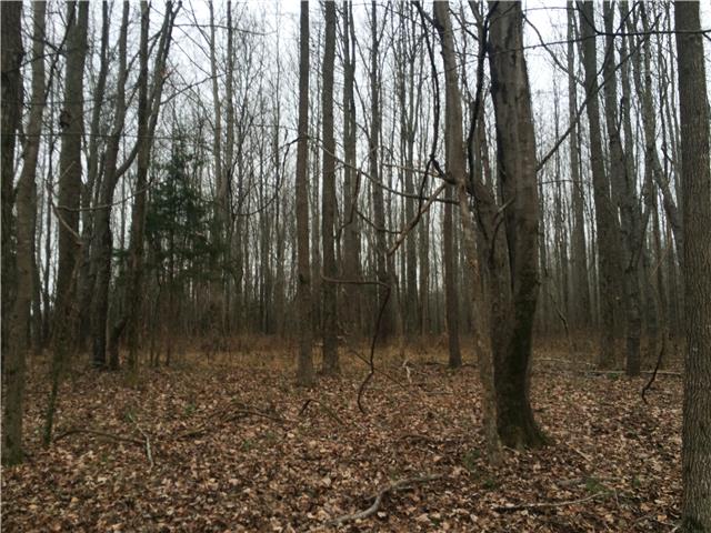837 Iron Workers Road Clarksville, TN 37043 - Photo 4 of 4 Gallery Image 4