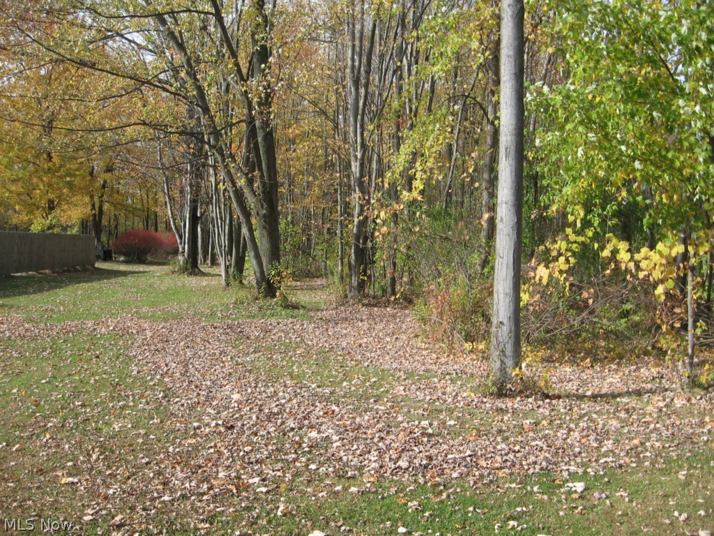 4139 South Ridge Road Perry, OH 44081 - Photo 16 of 17 View of the access on Maple Street - provides entry to the entire 19 acres.