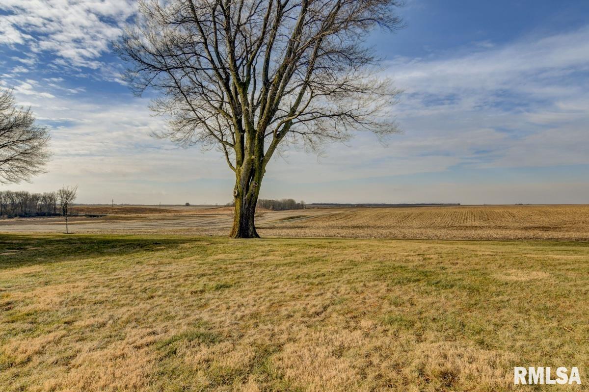 8869 Bomke Road Pleasant Plains, IL 62677 - Photo 61 of 68 Gallery Image 61