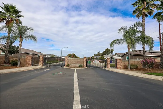 a view of a street with palm trees