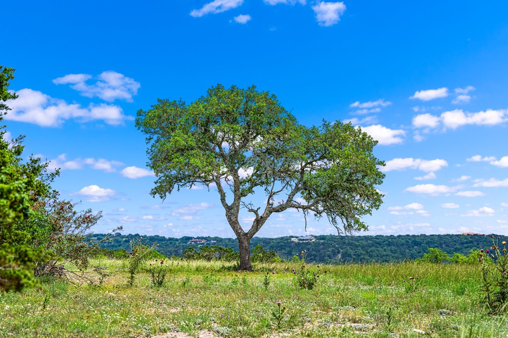 195 Countless Views Drive, Unit 15 Kerrville, TX 78028 - Photo 7 of 13