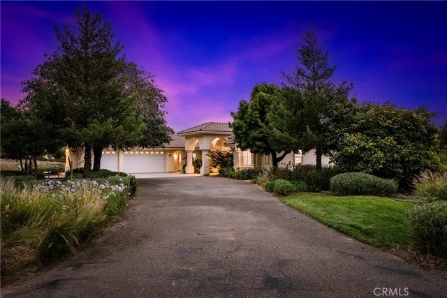 a view of a street with palm trees