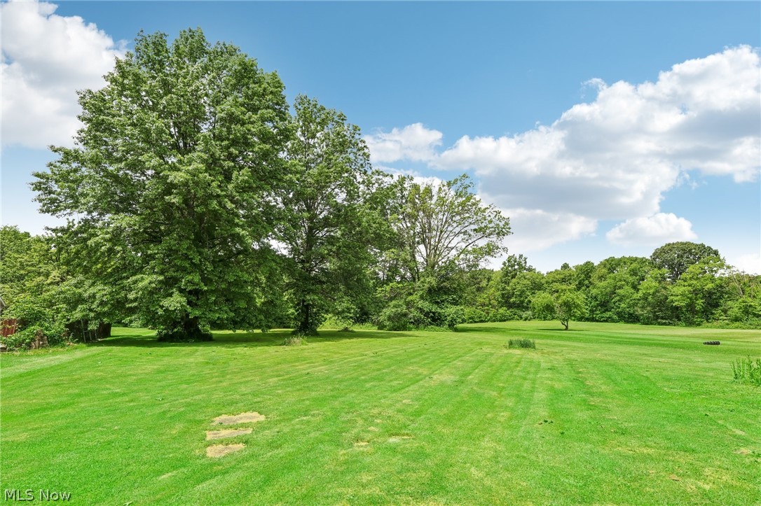 2998 Massillon Road Akron, OH 44312 - Photo 33 of 36 View of yard