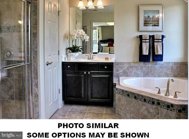 42213 Shorecrest Terrace Stone Ridge, VA 20105 - Photo 5 of 16 Bath (Master)