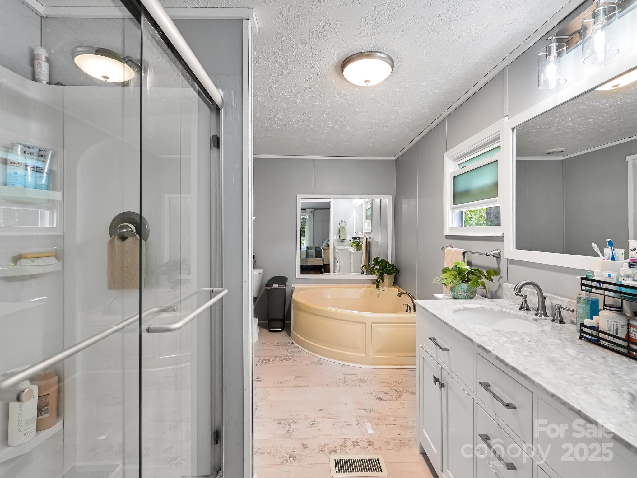 450 Berry Wills Road Hot Springs, NC 28743 - Photo 21 of 48 a spacious bathroom with a double vanity sink a mirror and a bathtub