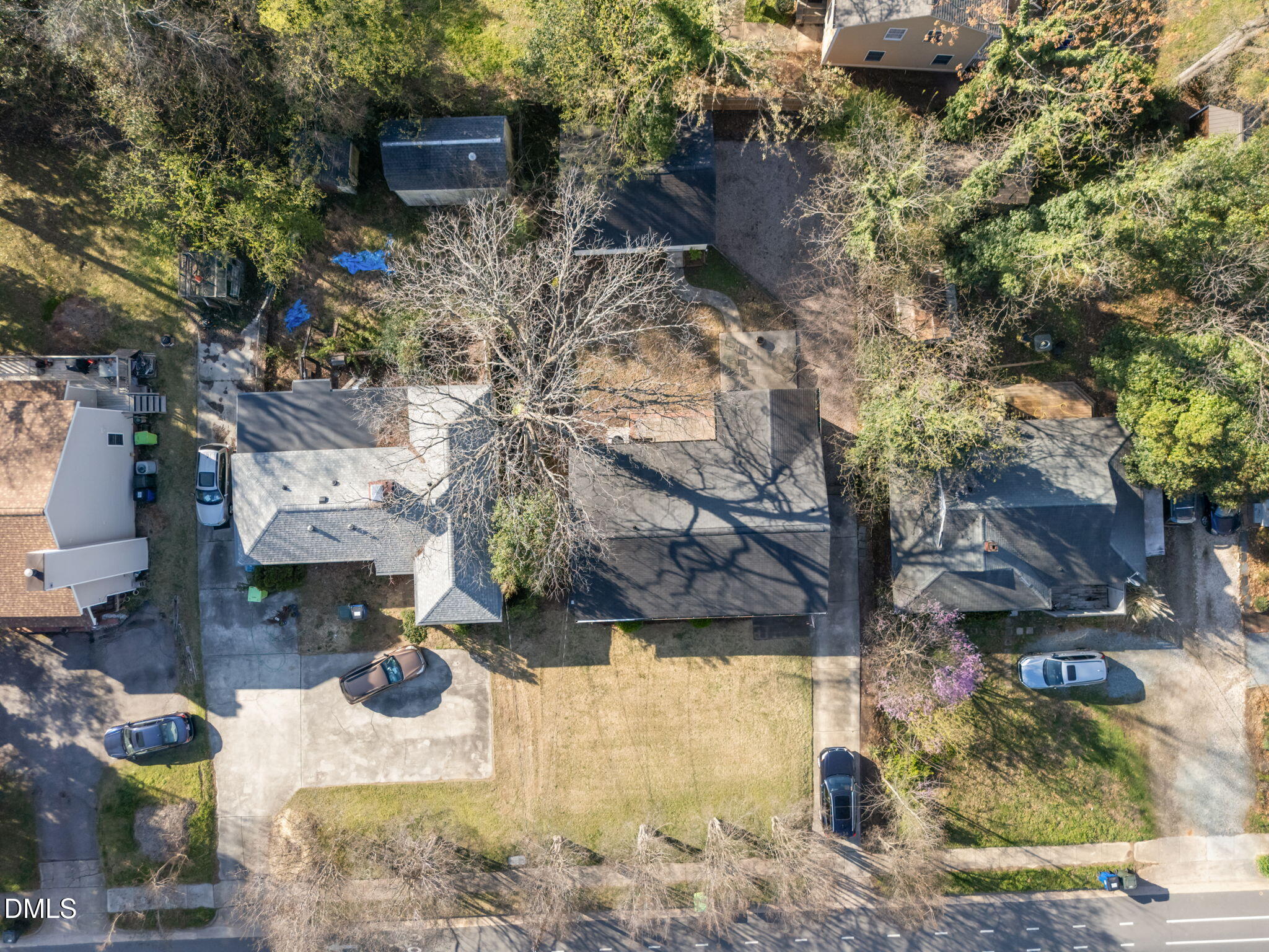 728 East Whitaker Mill Road Raleigh, NC 27608 - Photo 38 of 39 a view of a yard