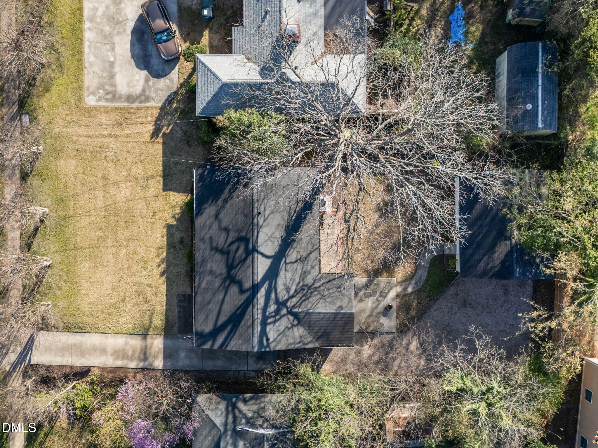 728 East Whitaker Mill Road Raleigh, NC 27608 - Photo 39 of 39 a view of a yard with plants