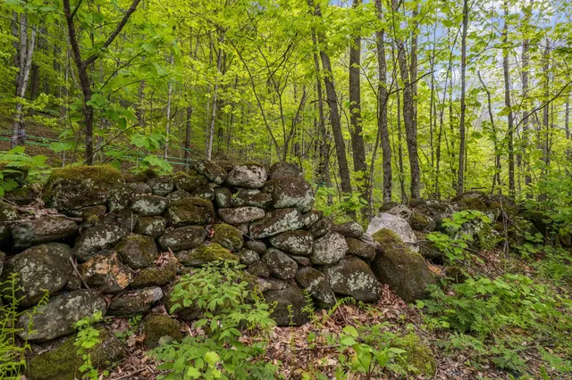 $695,000 | Noah Wood Road, South Woodstock, VT 05071