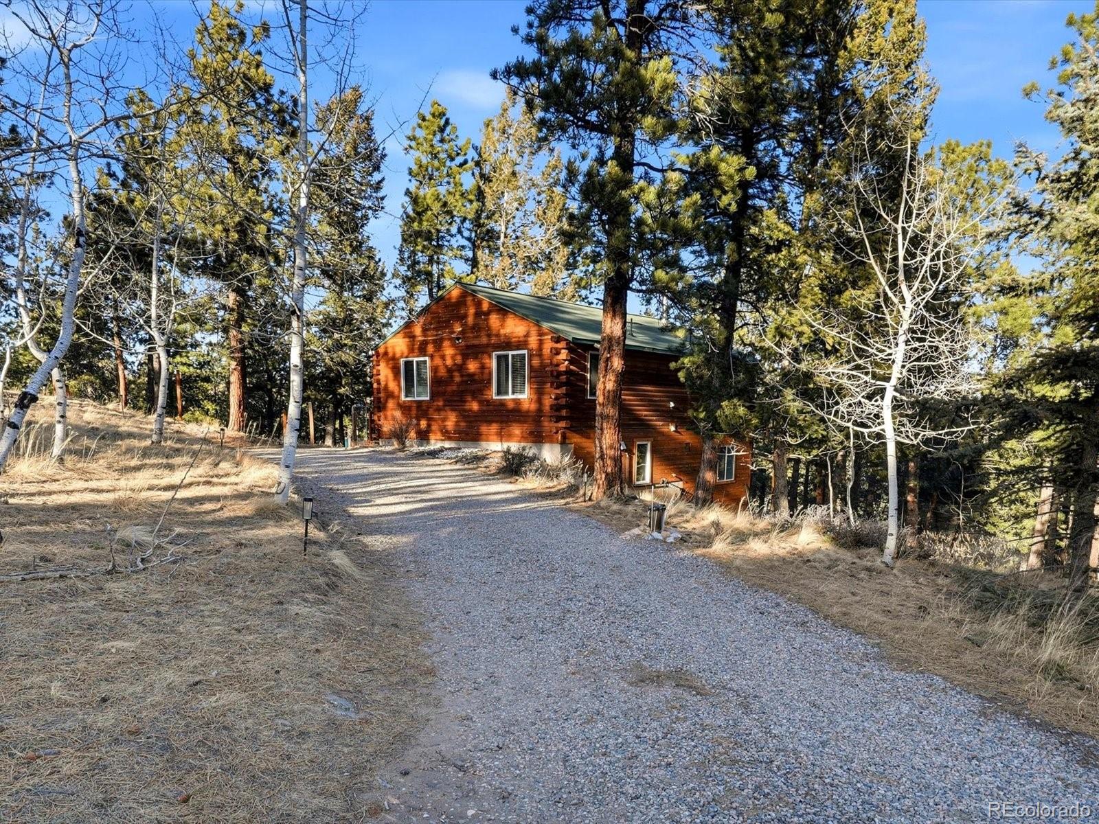 201 Moss Rock Road Bailey, CO 80421 - Photo 3 of 43