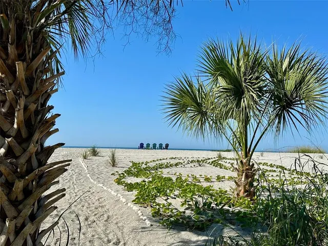 a view of a palm trees with a big yard
