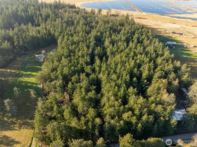 a view of a forest next to a yard