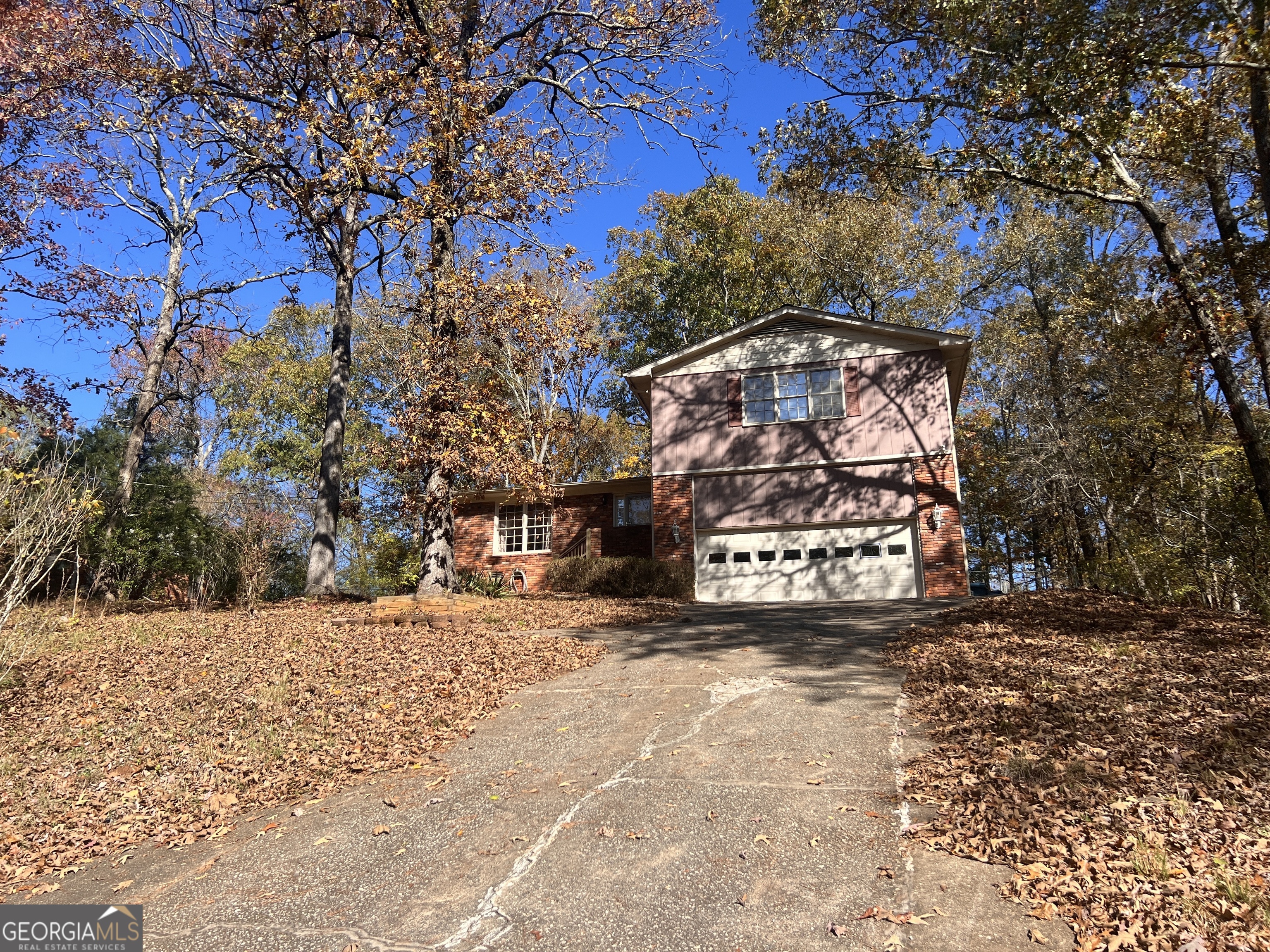 a view of a yard with a tree