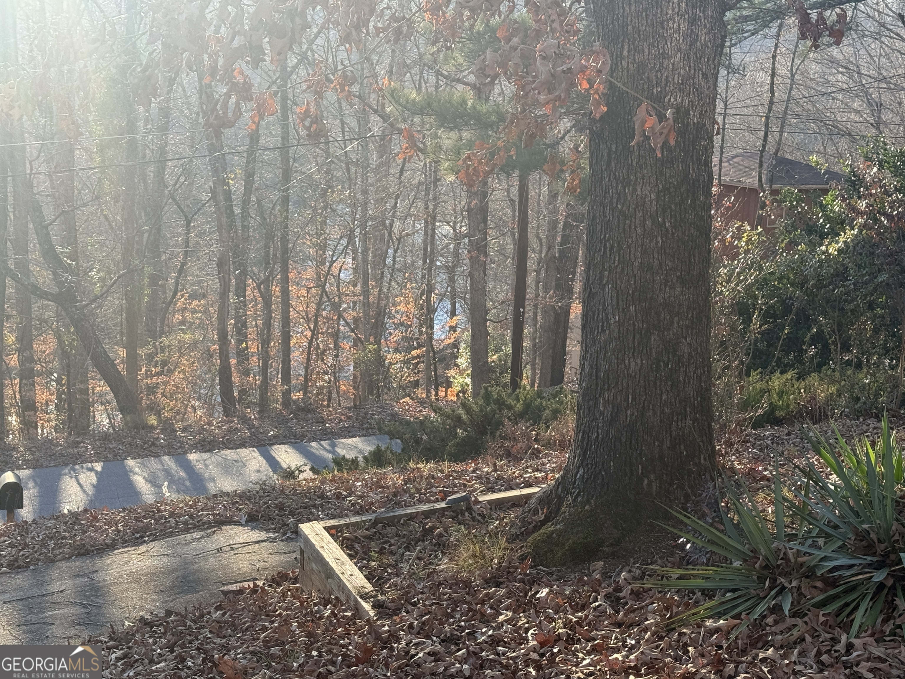 345 Caldwell Circle Athens, GA 30605 - Photo 17 of 38 a view of a yard with large trees