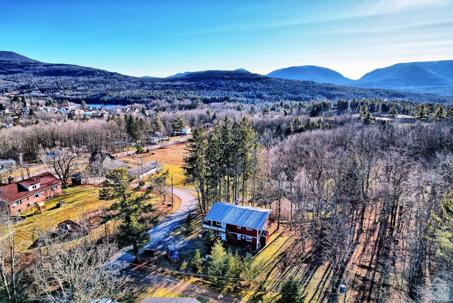 31 Showers Road Hunter, NY 12485 - Photo 14 of 89 Photo 14