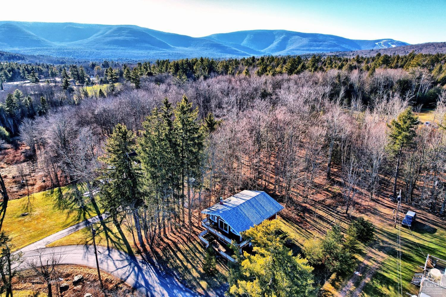 31 Showers Road Hunter, NY 12485 - Photo 2 of 89 Photo 12