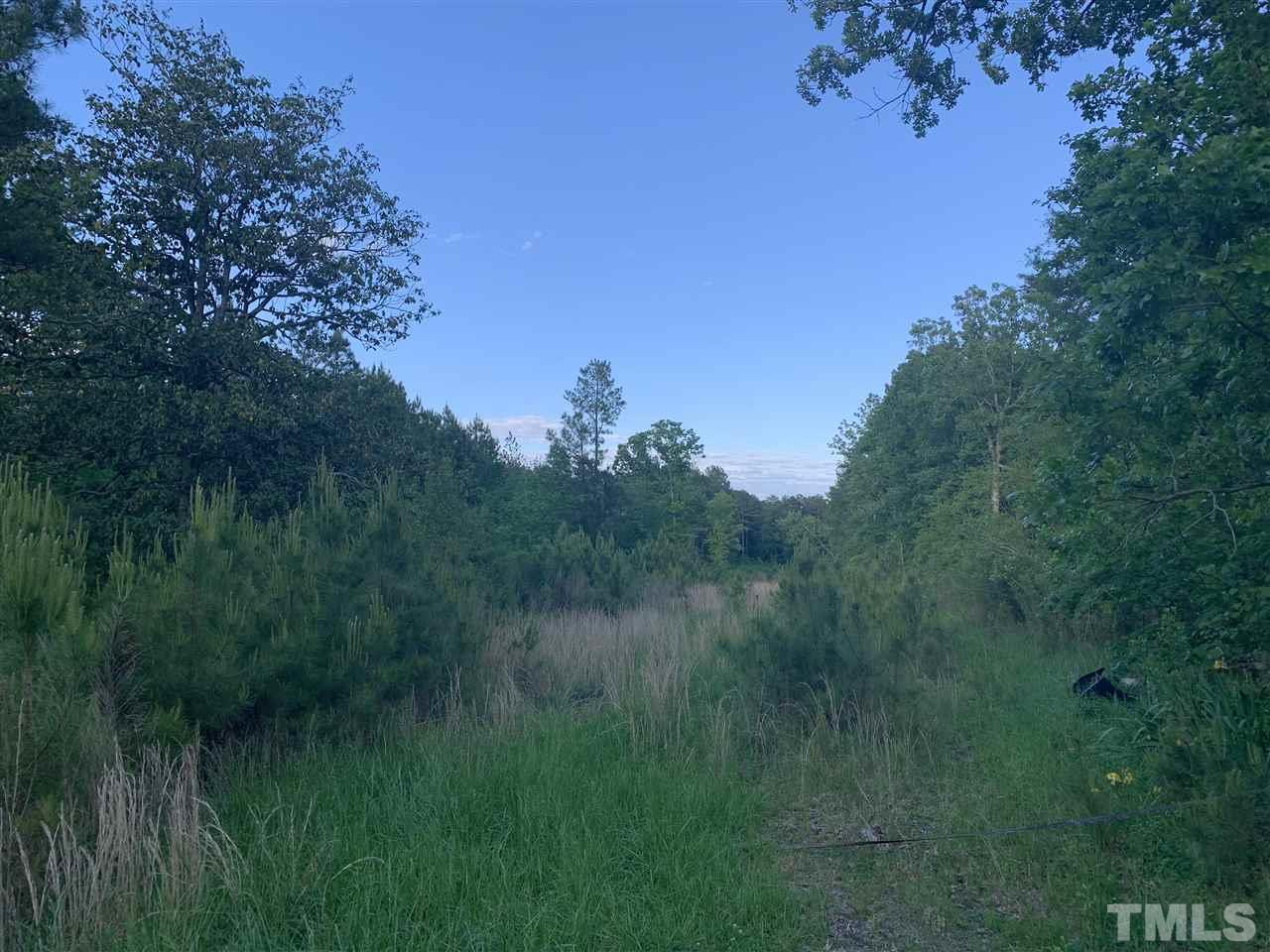 132 Colonial Park Road Staley, NC 27355 - Photo 3 of 12