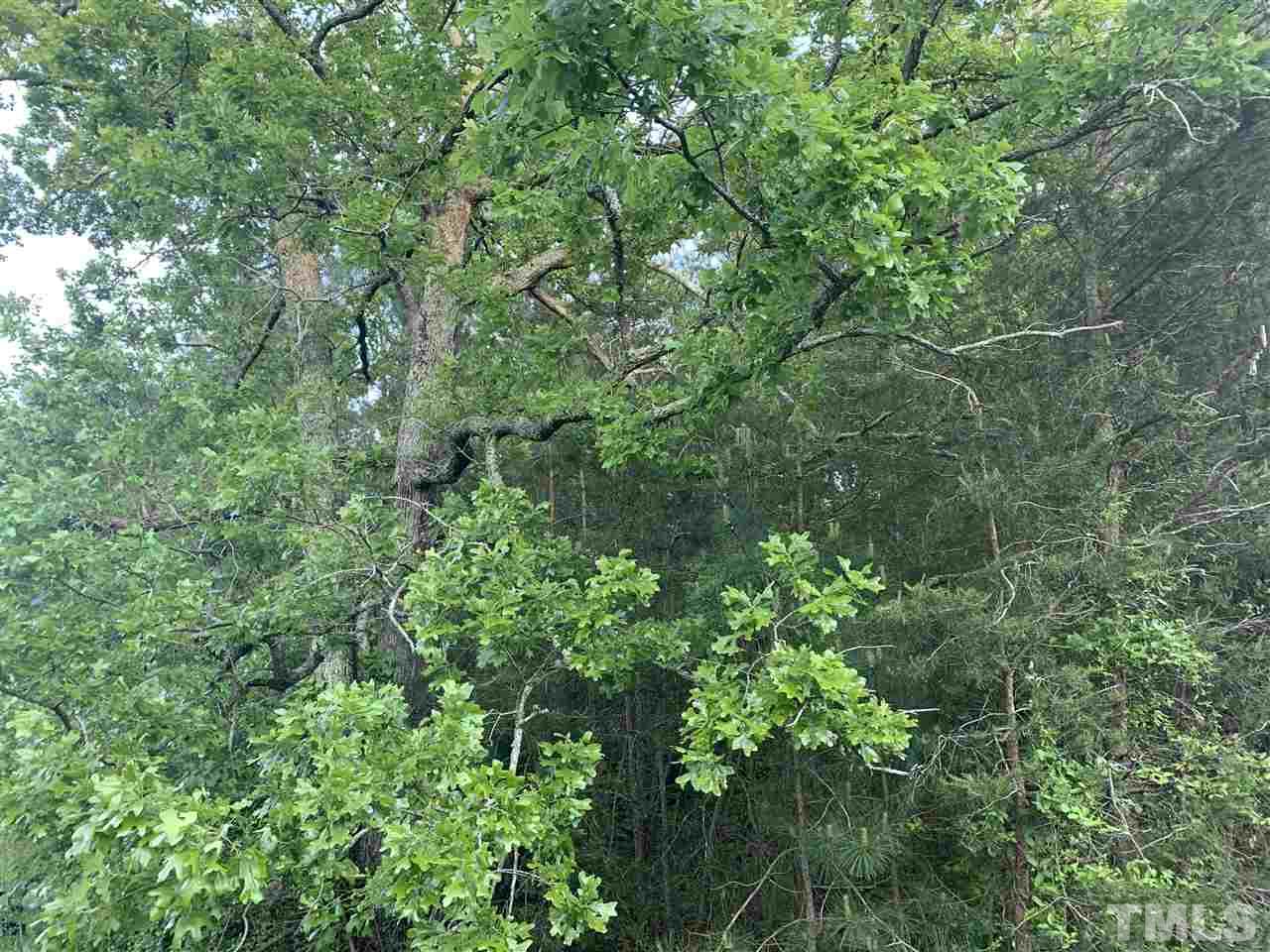 132 Colonial Park Road Staley, NC 27355 - Photo 5 of 12
