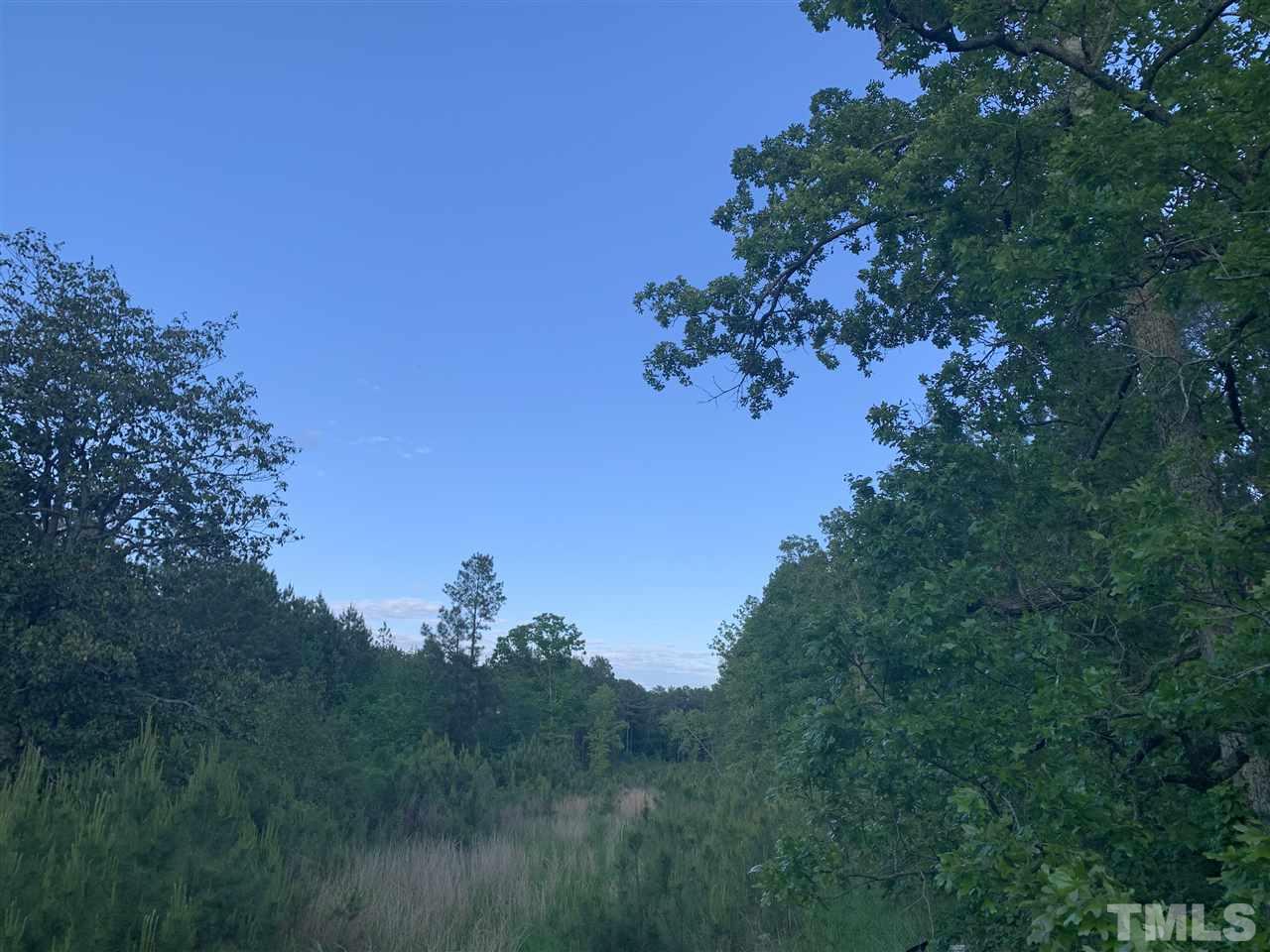 132 Colonial Park Road Staley, NC 27355 - Photo 6 of 12