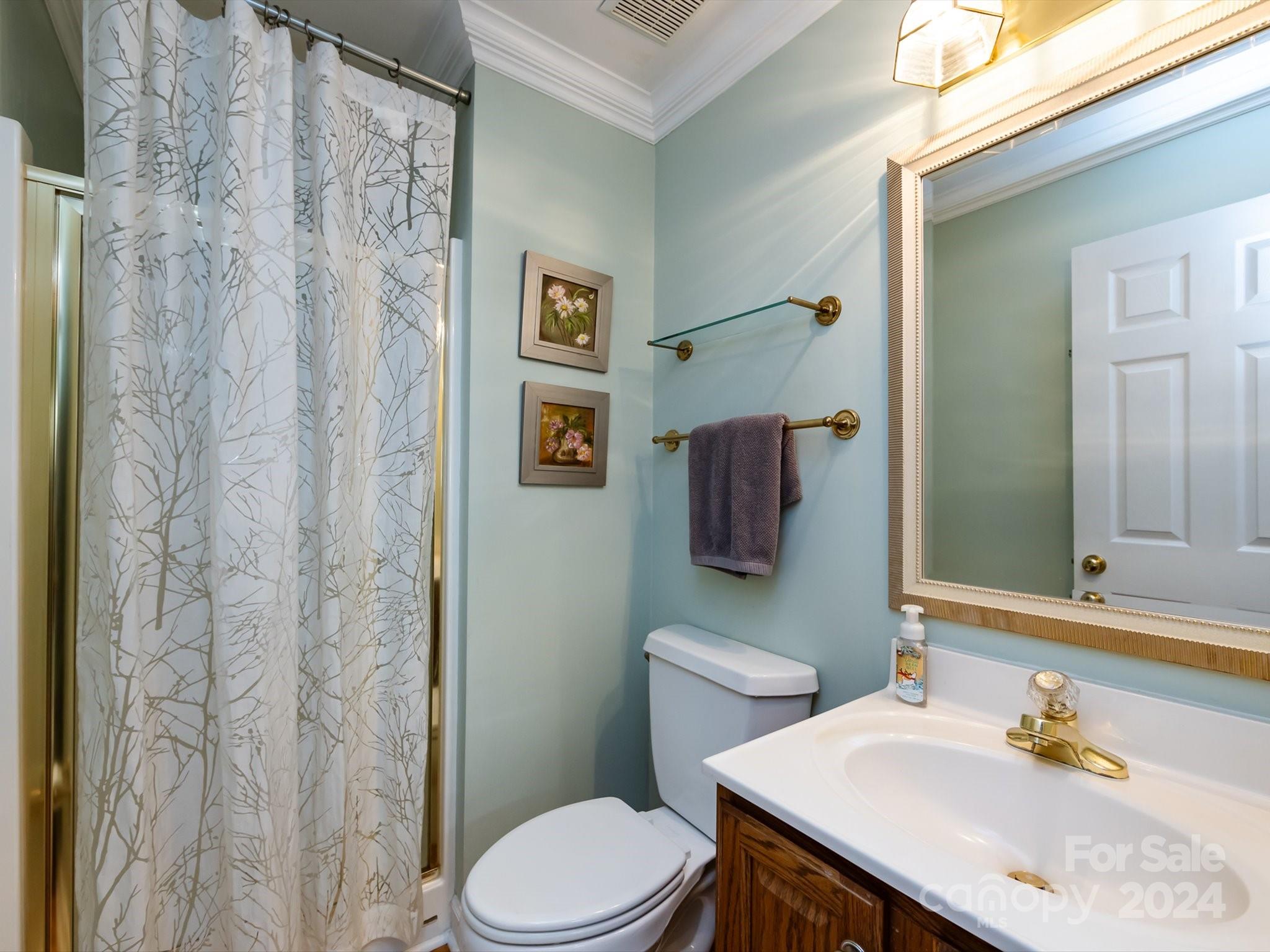 3534 Nestling Lane Fort Mill, SC 29708 - Photo 19 of 44 a bathroom with a sink toilet and mirror