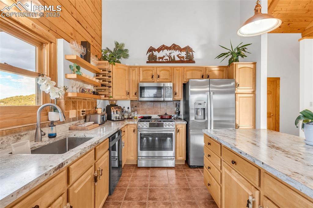 1350 Mitchell Mountain Road Westcliffe, CO 81252 - Photo 8 of 45 a kitchen with stainless steel appliances granite countertop a sink stove and refrigerator