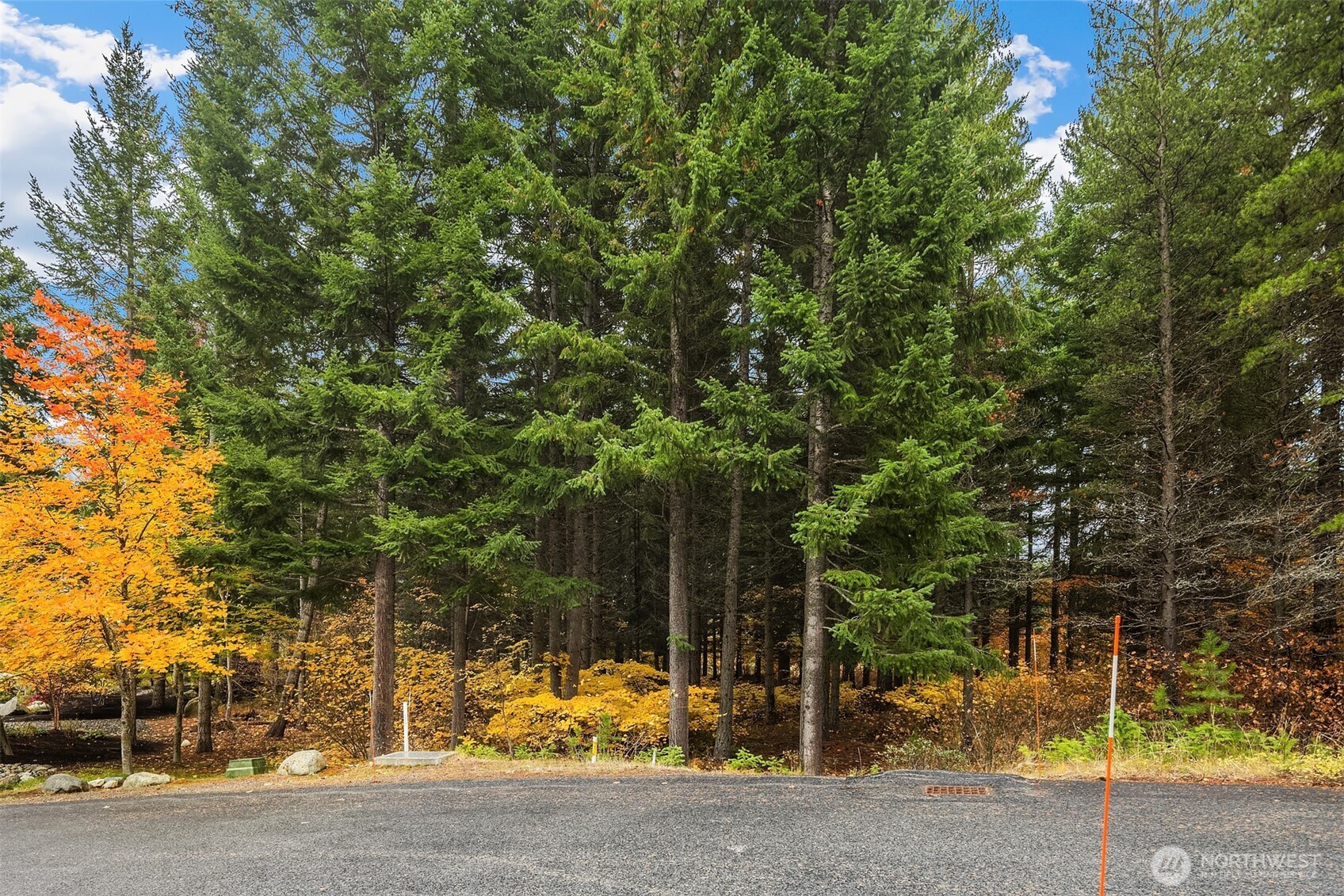 30 Scatter Creek Loop Cle Elum, WA 98922 - Photo 4 of 4 a view of a yard with plants