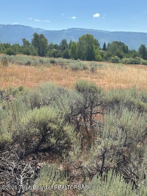 1121 Rainbow Loop Driggs, ID 83422 - Photo 11 of 12 thumbnail_IMG_4331