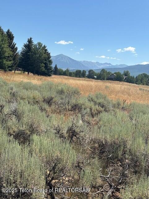 1121 Rainbow Loop Driggs, ID 83422 - Photo 12 of 12 thumbnail_IMG_4329