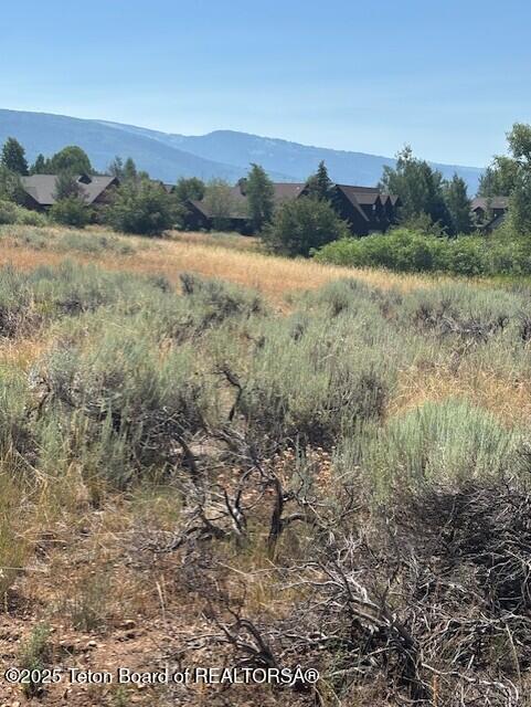 1121 Rainbow Loop Driggs, ID 83422 - Photo 2 of 12 Rainbow Loop