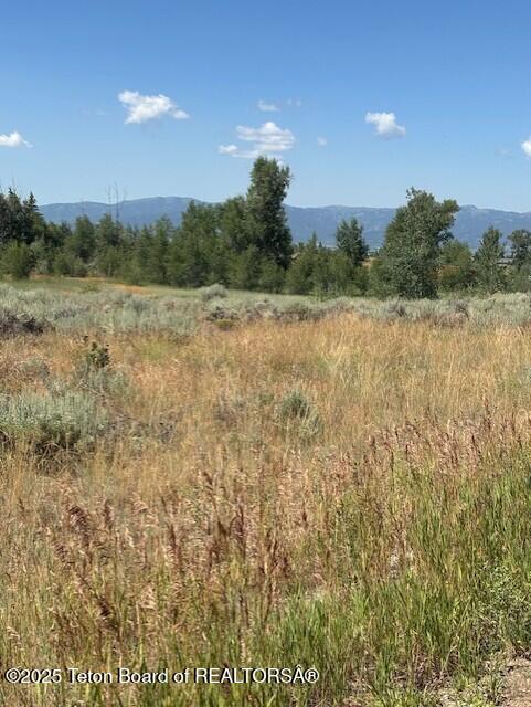 1121 Rainbow Loop Driggs, ID 83422 - Photo 5 of 12 thumbnail_IMG_4337