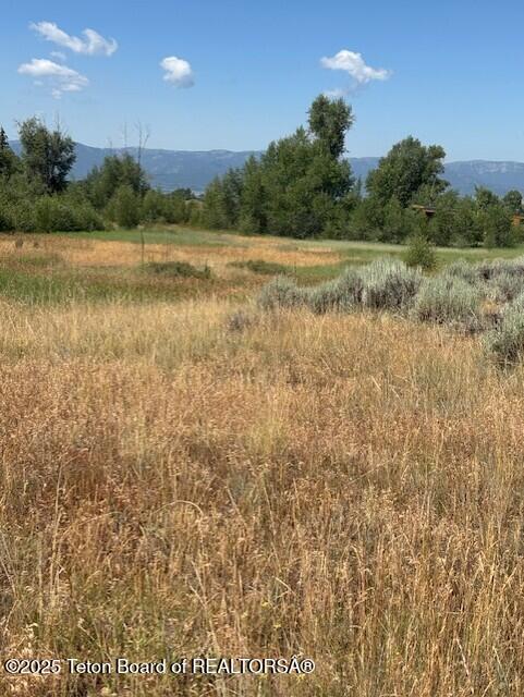 1121 Rainbow Loop Driggs, ID 83422 - Photo 9 of 12 thumbnail_IMG_4333