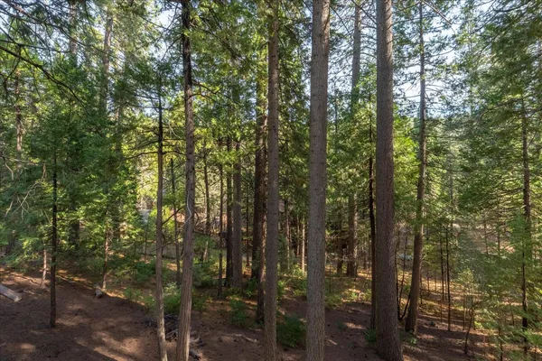 a black and white photo of a bench