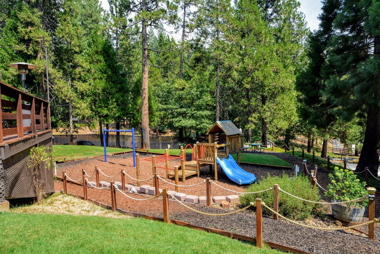 485 Moran Road Arnold, CA 95223 - Photo 45 of 49 a view of a park with furniture