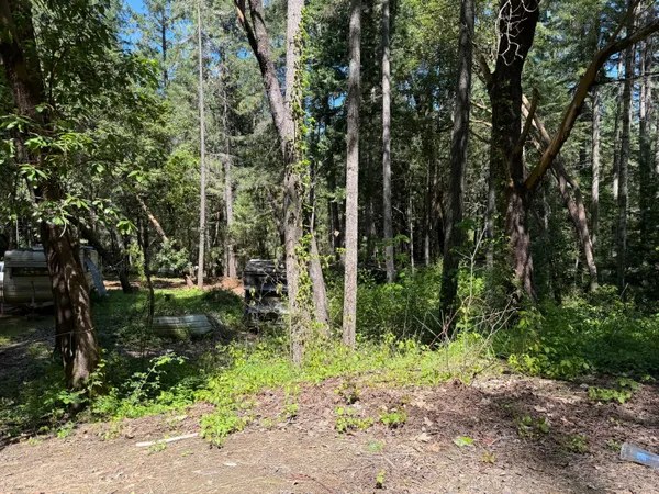 $35,000 | Sunny Valley Loop, Wolf Creek, OR 97497